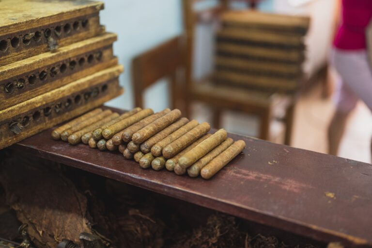 From above side view of crop unrecognizable woman passing by pile of similar cigars near wooden boxes with holes in food factory